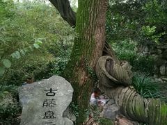 -绮园景区