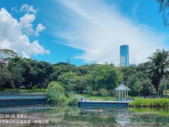 -四海公园(南山区)