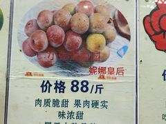 -马陆小张葡萄园农家乐