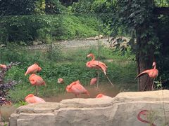 -昆明动物园