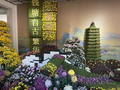 -杭州植物园