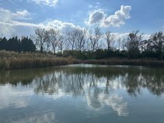 -溱湖国家湿地公园