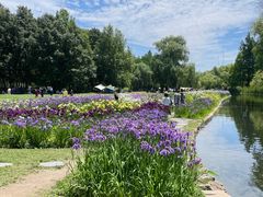 -上海共青森林公园