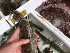-拉威海鲜市场
