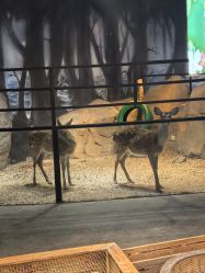 -酷嗒动物文化乐园(cutezoo西溪乐天城店)