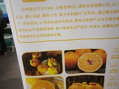 -上海跨国采购会展中心