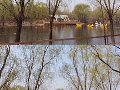 -沈阳鸟岛