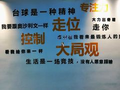 -HM8台球俱乐部
