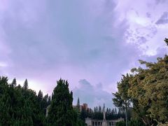 -十九路军淞沪抗日阵亡将士陵园