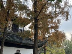 -汇龙潭