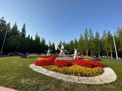 -东平国家森林公园