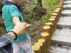 -白水寺森林公园