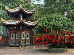 -峨眉山报国寺