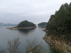 -浔味·山屿湖·正宗淳牌全鱼宴老字号