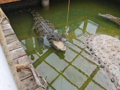 -石家庄市动物园