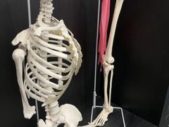 -TOP健身私教工作室(侨香店)