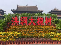 -大槐树寻根祭祖园