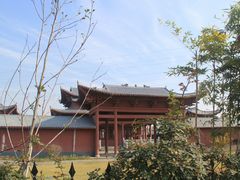 -九龙湖公园