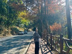 -广州市石门国家森林公园