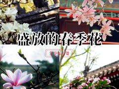 -潭柘寺景区