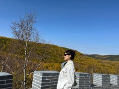 -乌兰布统景区-白桦林