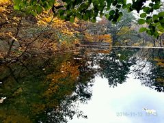 -昆嵛山石门里景区