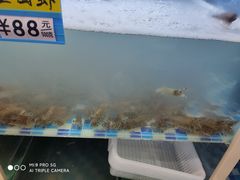 -蔚海之都·象山蒸汽海鲜(仙霞路店)