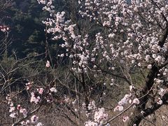 -大连金龙寺国家森林公园-售票处