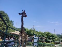 -沈阳森林动物园