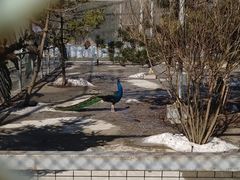 -青峰峡国家森林公园