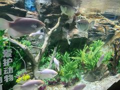 -广州海洋馆