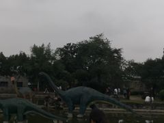 -自贡恐龙博物馆