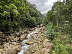 -姑婆山旅游区