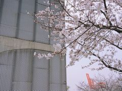 -龙美术馆西岸馆-停车场