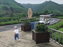 -帐篷客·溪龙茶谷度假酒店