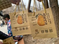 -古北烤梨