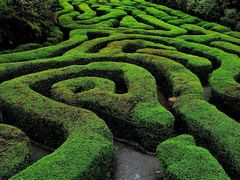 -大屏嶂森林公园