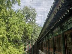 -国家图书馆·古籍馆