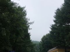 -白草畔自然风景区