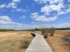 -野鸭湖国家湿地公园