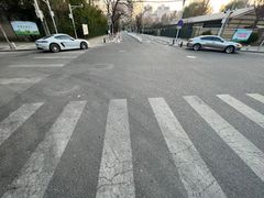 -三里屯东五街银杏大道