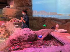 -沈阳海洋探索中心