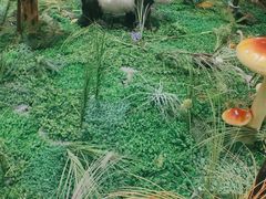 -世纪金源购物中心