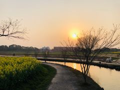 -广富林郊野公园