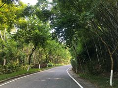 -火炉山森林公园