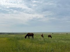 -呼和诺尔旅游景区
