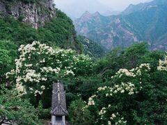 -圣莲山风景区