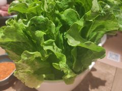 -额尔敦牛厨师铜板烧