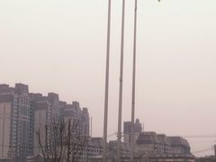-蒲河大集