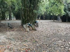-宁波野生动物园
